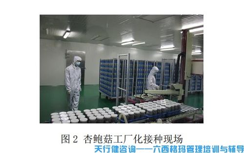 杏鮑菇工廠化接種中TRIZ創(chuàng)新技術的應用與計算機軟硬件技術開發(fā)