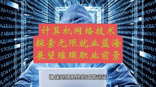 計(jì)算機(jī)網(wǎng)絡(luò)技術(shù) 探索無限就業(yè)藍(lán)海，展望璀璨職業(yè)前景